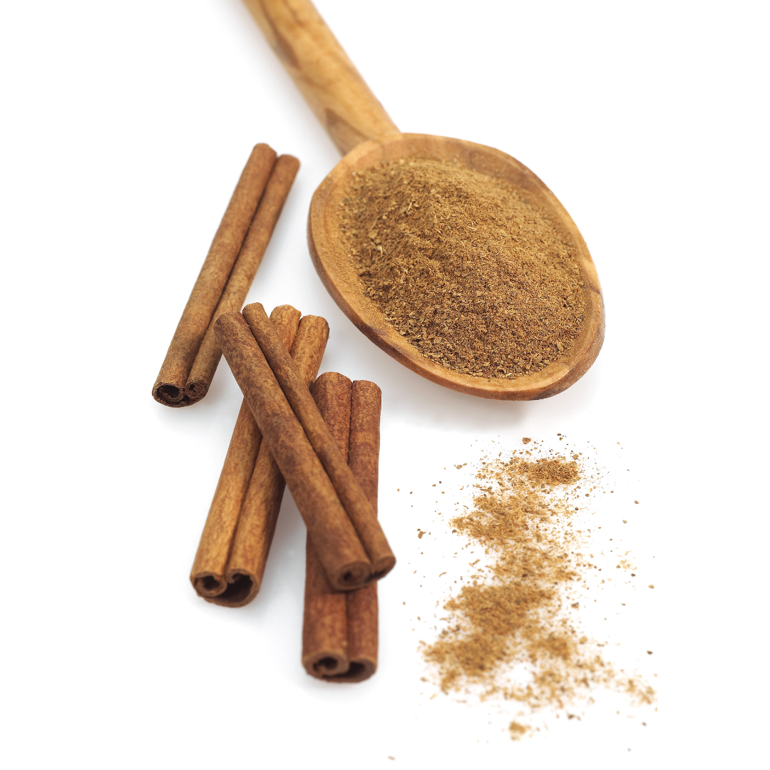 दाल चीनी Cinnamomum zeylanicum (Blime Syn)